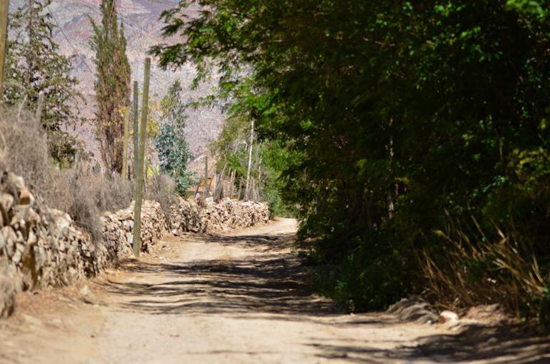 Villa Refugios Pisco Elqui Exterior foto